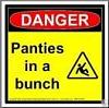 Click image for larger version

Name:	PANTIES_IN_A_BUNCH.jpg
Views:	202
Size:	5.3 KB
ID:	189462