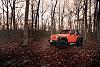 Click image for larger version

Name:	5eea7505_jeep-in-the-woods.jpg
Views:	1417
Size:	99.0 KB
ID:	248466