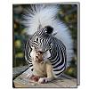 Click image for larger version

Name:	zebra%20card.jpg
Views:	302
Size:	32.6 KB
ID:	31041