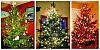 Click image for larger version

Name:	xmastrees.jpg
Views:	458
Size:	100.9 KB
ID:	396619