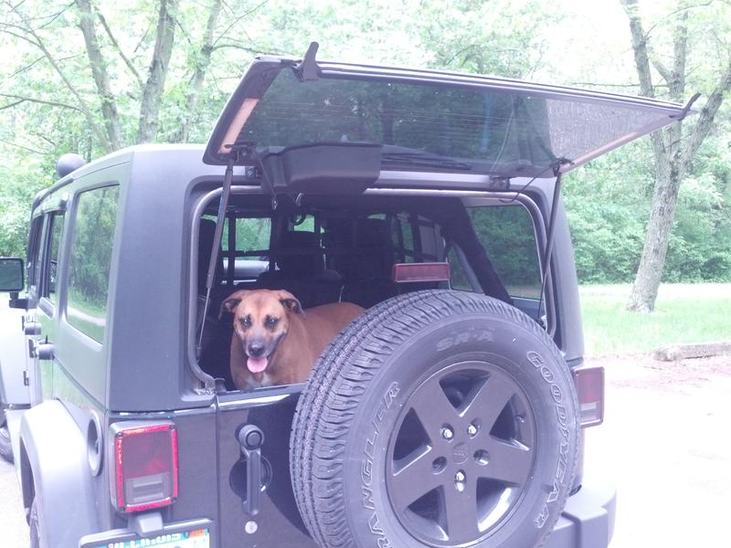 Big dogs and jeeps... How do you get your dog in? (and a solution to help)   - The top destination for Jeep JK and JL Wrangler news,  rumors, and discussion