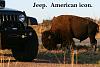 Click image for larger version

Name:	Wichita Mountains, Sep 11, 9663, Jeep and Bison.jpg
Views:	845
Size:	990.7 KB
ID:	616011