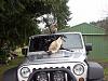 Click image for larger version

Name:	cats jeep.jpg
Views:	374
Size:	88.5 KB
ID:	6841