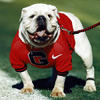 GA Dawg's Avatar