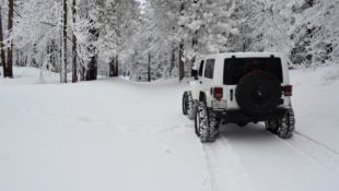 Does a Jeep’s Engine Need Warming up?